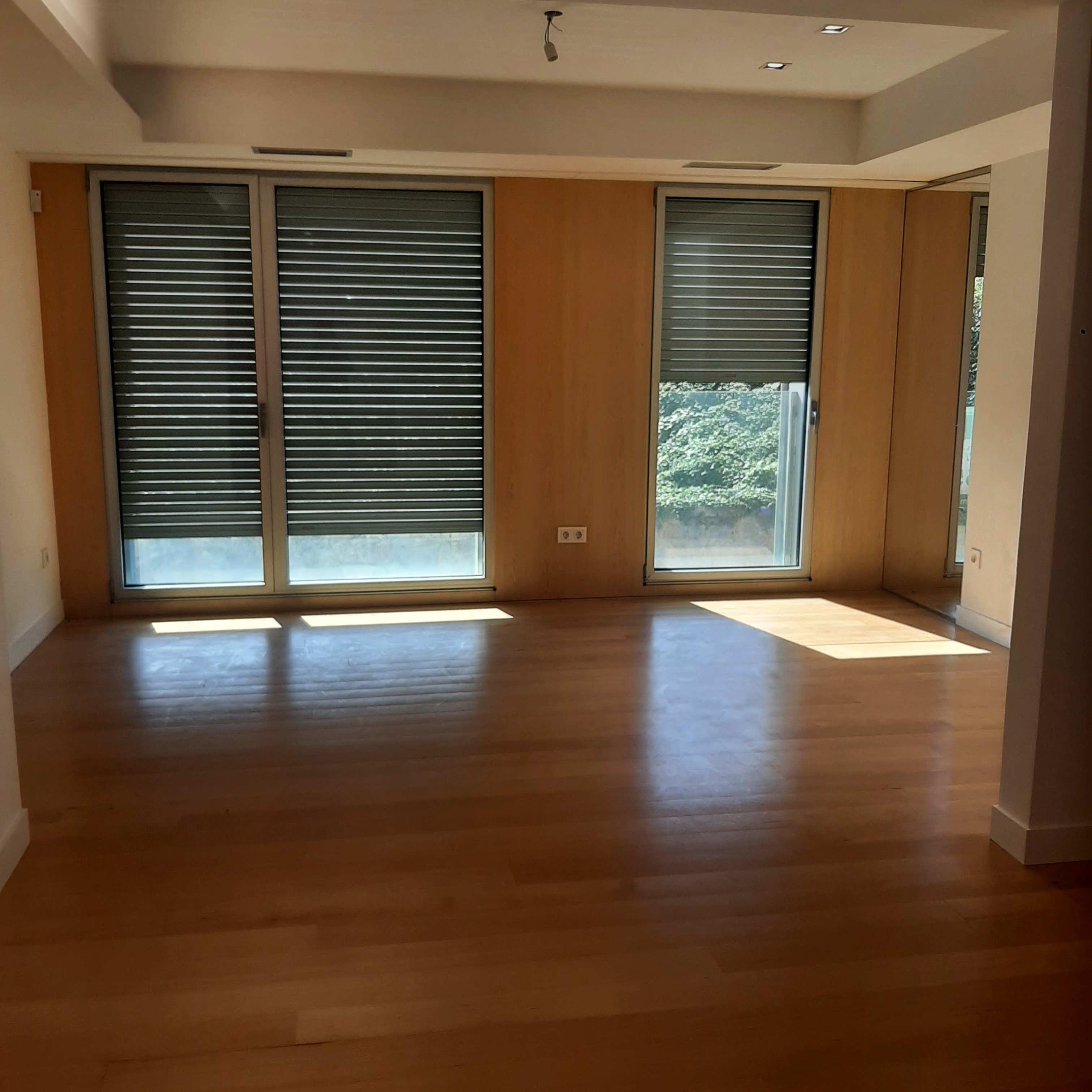 Salón-Cocina integrados