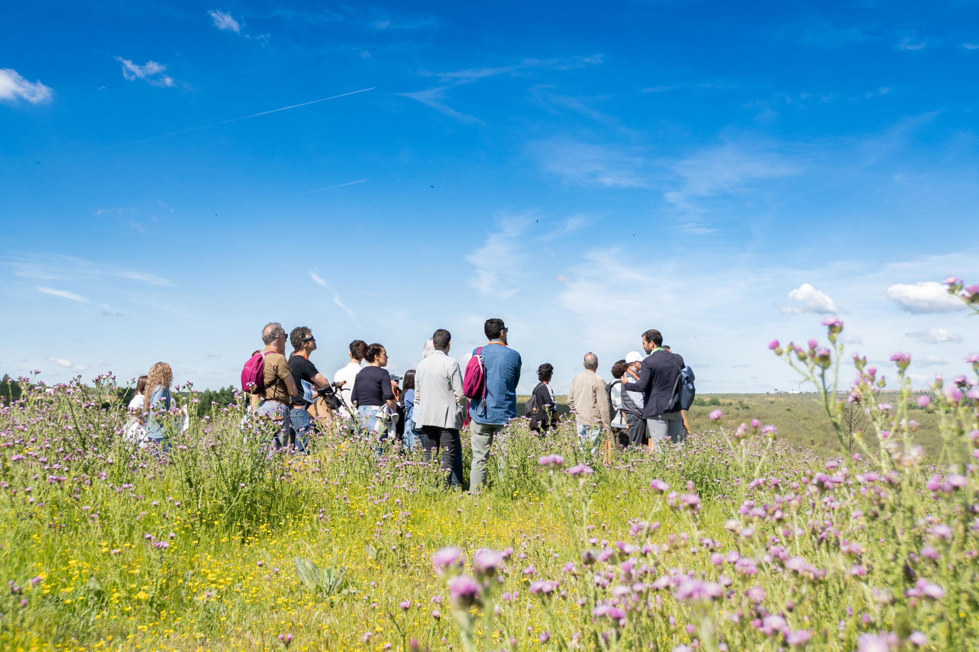 Visita Area Retamares